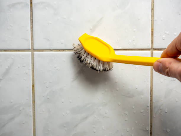 Best Bathroom Mold Remediation in Ashland, VA