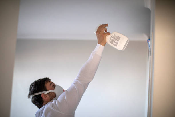 Best Post-Flood Mold Remediation in Ashland, VA