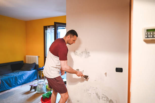  Ashland, VA Mold Removal Pros